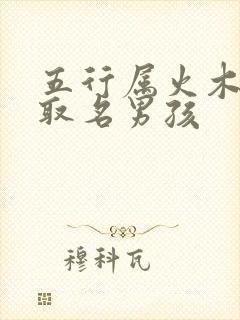 五行属火木的字取名男孩