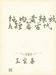 纯肉黄辣放荡高h短篇古代