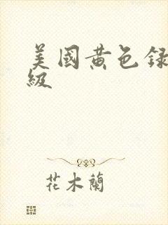 美国黄色录像1级