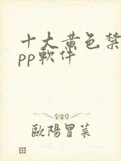 十大黄色禁用app软件