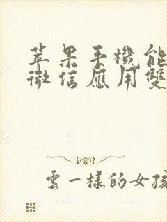 苹果手机能不能微信应用双开