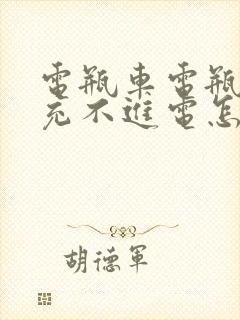 电瓶车电瓶突然充不进电怎么修复