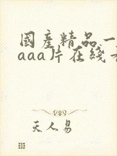 国产精品一级aaaa片在线看