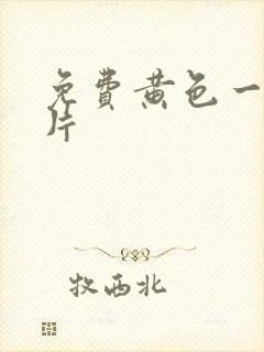 免费黄色一级大片