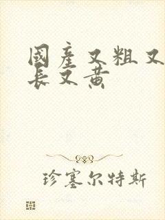 国产又粗又猛又长又黄