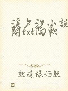 溪夕汐小说笔趣阁txt陶软