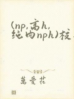 (np,高h,纯肉nph)校园