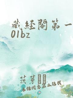 藏经阁第一版主01bz