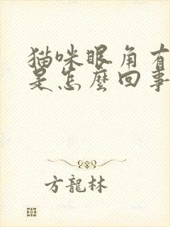 猫咪眼角有眼屎是怎么回事