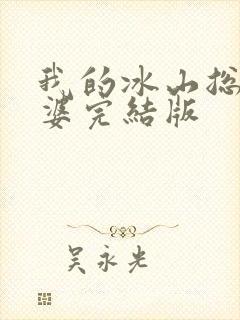 我的冰山总裁老婆完结版