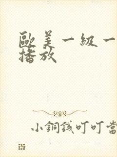 欧美一级一级的播放