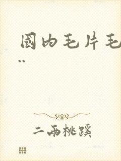 国内毛片毛片...