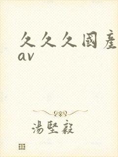 久久久国产精品av