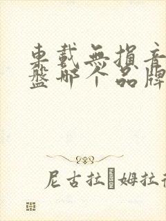 车载无损音乐u盘哪个品牌好