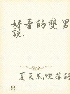 好看的双男主小说.