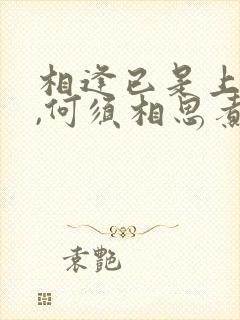 相逢已是上上签,何须相思煮余年