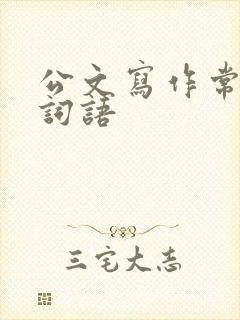 公文写作常用的词语