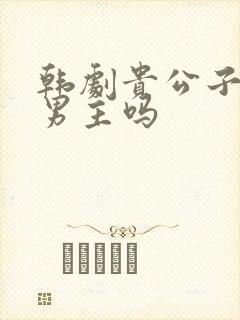 韩剧贵公子是双男主吗