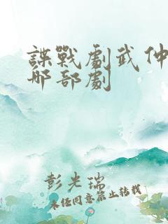 谍战剧武仲明是哪部剧