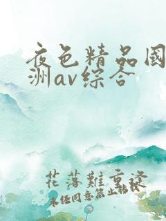 夜色精品国产亚洲av综合