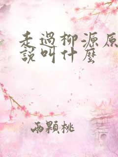 走过柳源原著小说叫什么