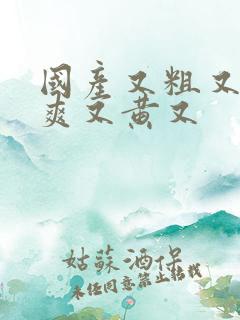 国产又粗又猛又爽又黄又