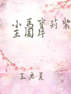 小马宝莉紫悦公主图片