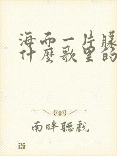 海面一片朦胧是什么歌里的歌词