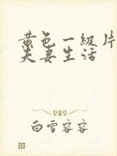 黄色一级片中国夫妻生活