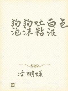 狗狗吐白色黄色泡沫粘液