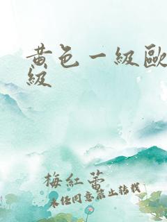 黄色一级欧美一级