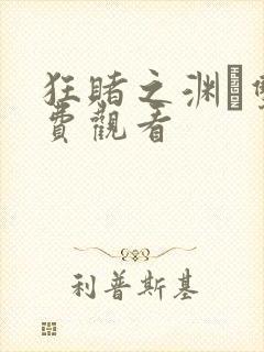 狂赌之渊·双免费观看