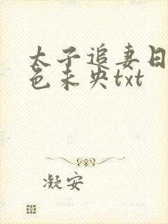 太子追妻日常秋色未央txt