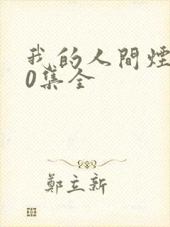 我的人间烟火40集全