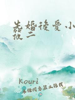 先婚后爱小说梦筱二