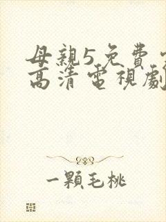 母亲5免费完整高清电视剧在线看下载
