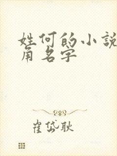 姓何的小说男主角名字