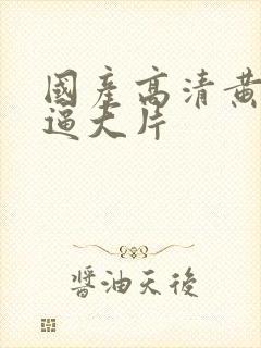 国产高清黄色干逼大片