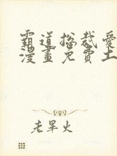 霸道总裁爱上我漫画免费土豪漫画