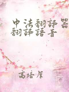 中法翻译器在线翻译语音