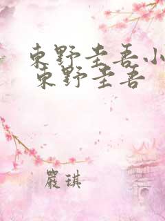 东野圭吾小说集 东野圭吾