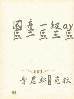 国产一级av一区二区三区