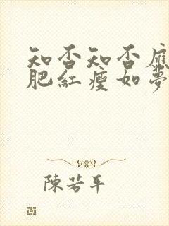 知否知否应是绿肥红瘦如梦令