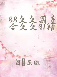 88久久国产综合久久91精品