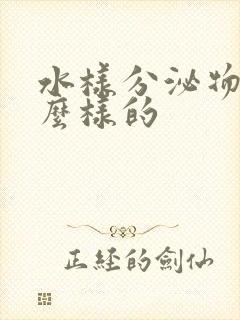 水样分泌物是怎么样的