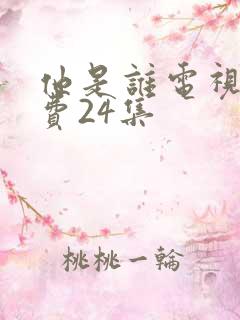 他是谁电视剧免费24集