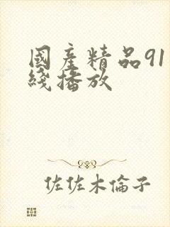 国产精品91在线播放