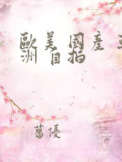 欧美 国产 亚洲 自拍