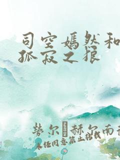 司空嫣然和叶凡孤寂之狼