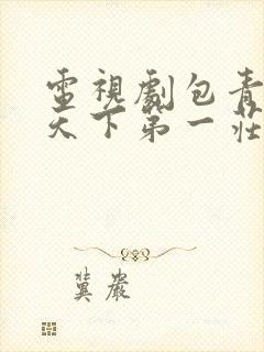 电视剧包青天之天下第一庄